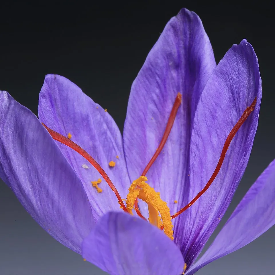 Should you be investing in saffron-infused skincare?