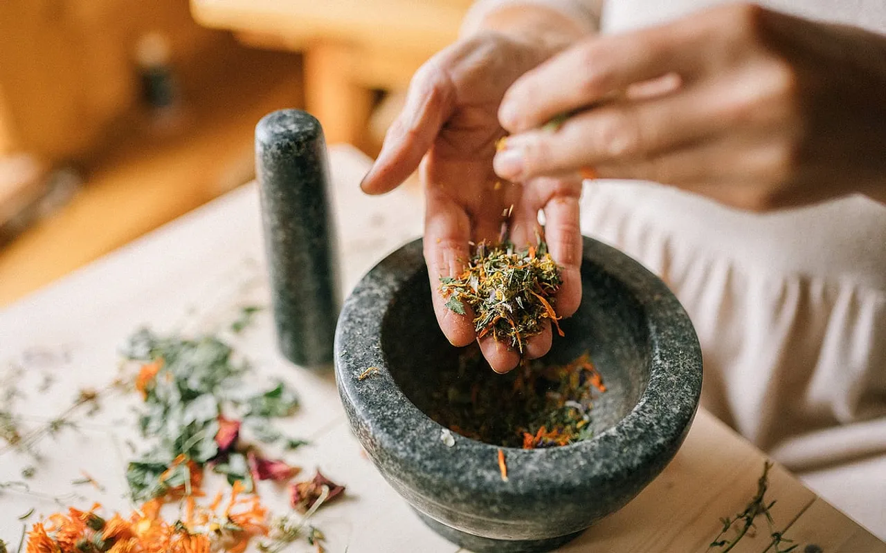 Can the healing properties of plants prevail over modern medicine?