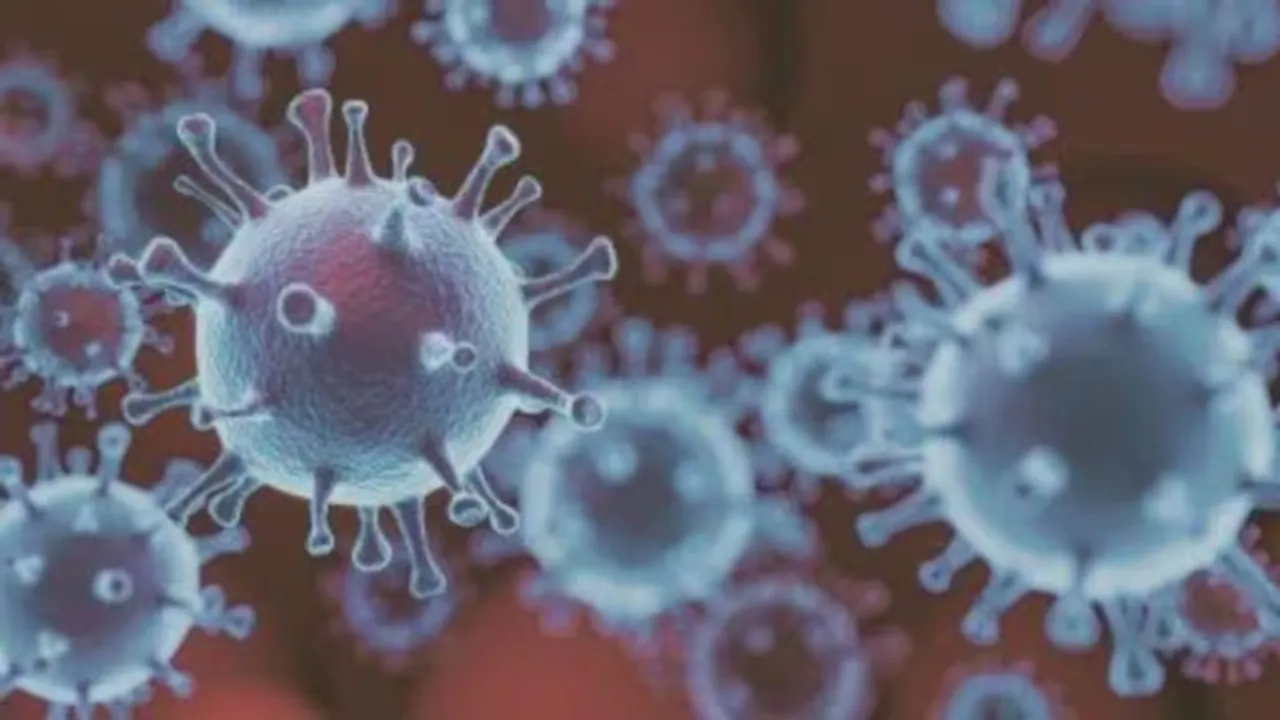 hmpv virus symptoms, human metapneumovirus hmpv virus china, hmpv in india, hmpv india, hmpv cases in india, hmpv virus in india, hpmv, what is hmpv, new virus in india, hmvp, hmp virus, human metapneumovirus, hmpv virus death rate, hmpv bangalore, hmpv case in india, hmpv in bangalore, hmpv virus india, hmpv news, virus outbreak in china, hpmv india, hmpv cases in china, hmp