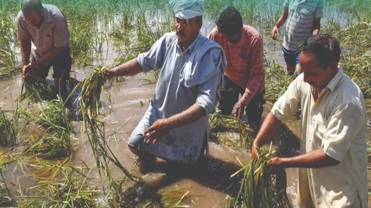 PM KISAN 21th Installment released to Jammu Farmers, पीएम किसान 21वीं किस्त अपडेट, पीएम किसान योजना 2025 ताज़ा खबर, पीएम किसान 21वीं किस्त 2000 रुपये, पीएम किसान भुगतान स्थिति 2025, पीएम किसान 21वीं किस्त बैंक ट्रांसफर, पीएम किसान DBT तकनीक अपडेट, पीएम किसान 21वीं किस्त लाभार्थी सूची, पीएम किसान भुगतान तिथि 2025, पीएम किसान योजना 21वीं किस्त किसान, पीएम किसान वित्तीय सहायता 2025, पीएम किसान 21वीं किस्त जम्मू-कश्मीर, पीएम किसान 21वीं किस्त पंजाब हिमाचल उत्तराखंड, पीएम किसान बकाया भुगतान राज्य, पीएम किसान 21वीं किस्त आने की तारीख