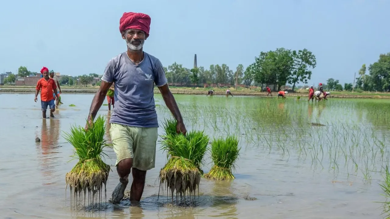 PM Fasal Bima Yojana, Fasal Bima Yojana, Govt Onsurance Scheme, PM Fasal Bima Yojana Deadline for Kharif, premium of PM Fasal Bima Yojana, how to apply for PM Fasal Bima Yojana, प्रधानमंत्री फसल बीमा योजना