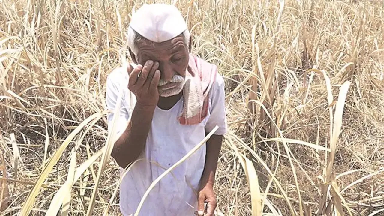 Farmers Waived Off