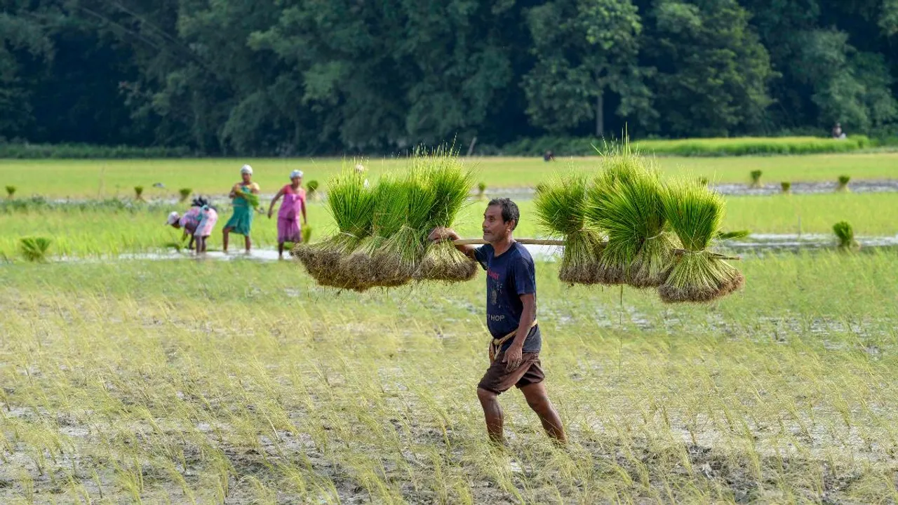 pm kisan important rules