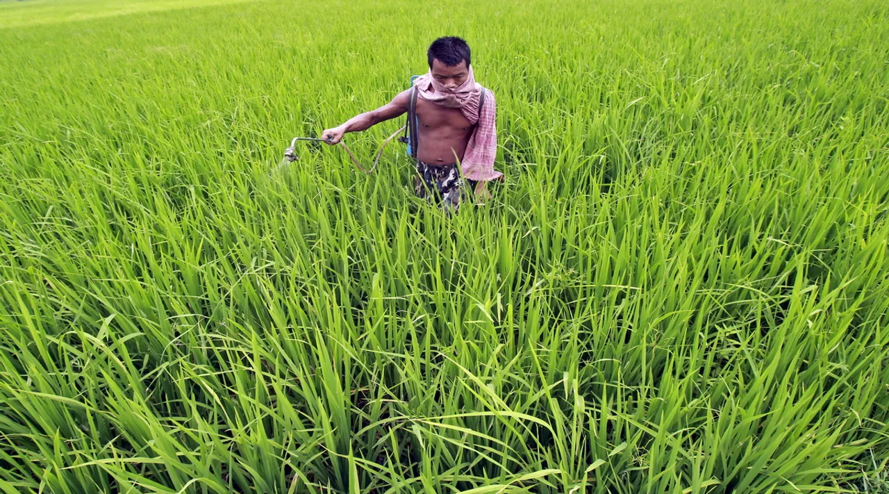 Fertiliser prices may shoot up in Q4 due to Russia-Ukraine woes; govt may increase MSP, research report