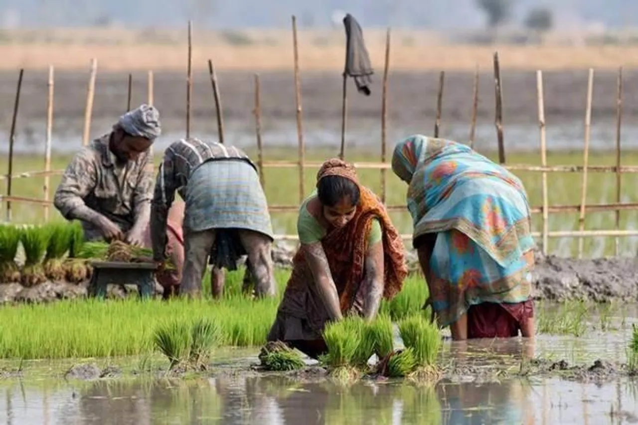 IMD, India Meteorological Department, good news for farmers, good news for kharif crop like rice and corn, IMD predicts more heavy rain, 24% above average rains so far in August, monsoon rain, rain in india, agriculture in India