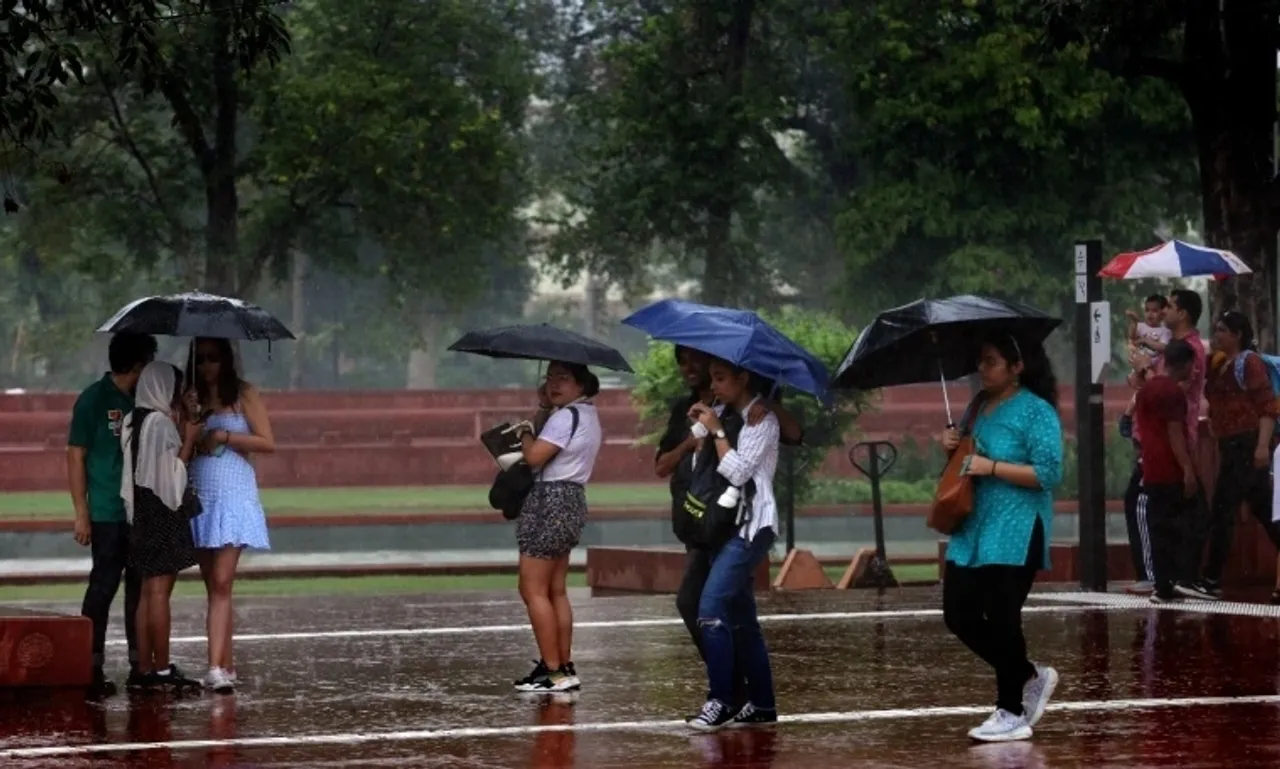 Delhi Weather, Drizzle, pink winter, Delhi-NCR, rain, capital,