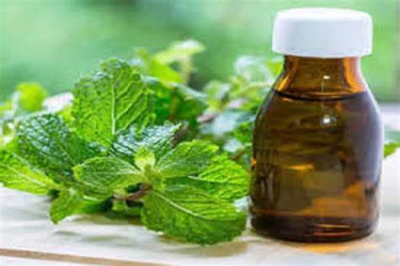 Mentha Oil Rate Today: मेंथा ऑयल की कीमतों में फिर बढ़ोतरी, क्या आगे भी जारी रहेगी ये तेजी