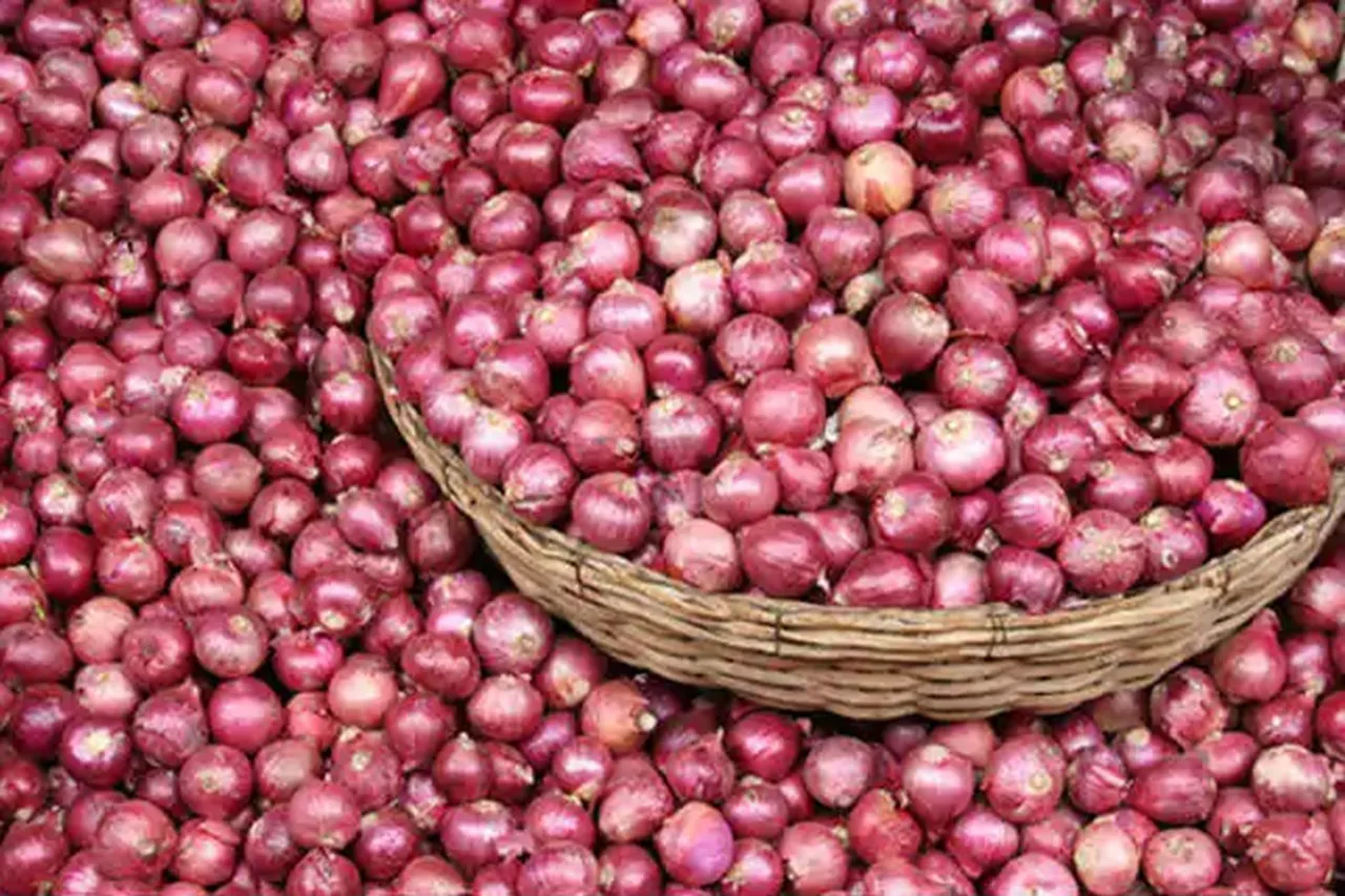 Government relaxes import norms for onion to boost domestic supply, check prices, will also offload more onion from its buffer stock in the open market