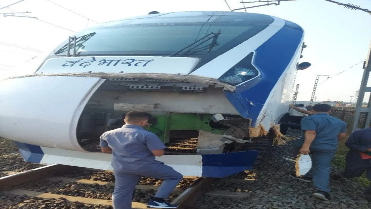 cattle runover, incident, Vande Bharat, Atul railway Station, Mumbai Central, Gandhinagar