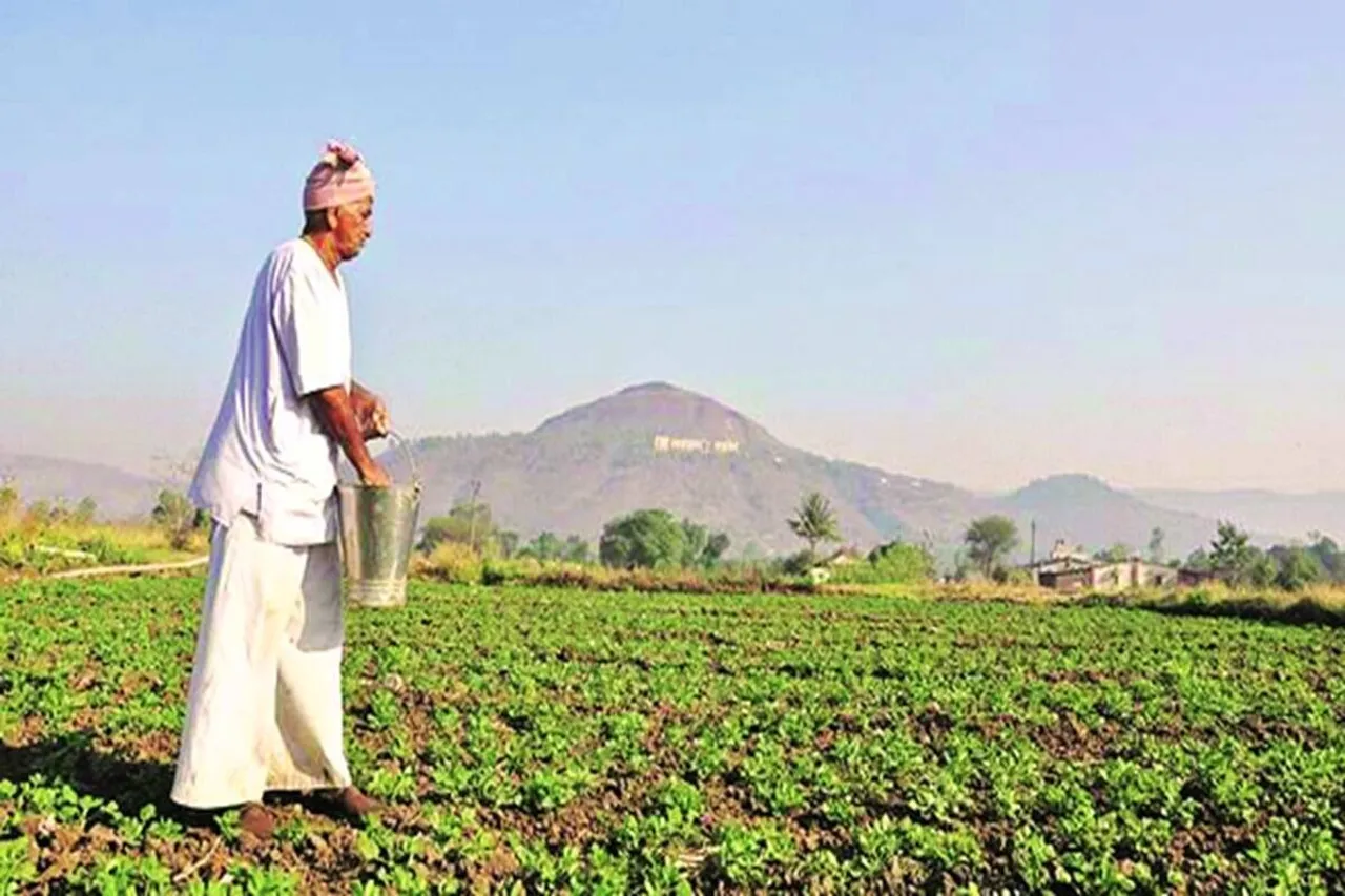 Economic Survey 2020-21: New farm laws herald new era of market freedom SAID IN Economic Survey FINANCE MINISTER NIRMALA SITHARAMAN PM NARENDRA MODI