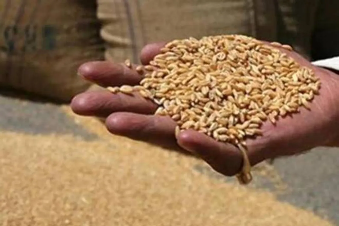 what is Pradhan Mantri Gareeb Kalyan Ann Yojna, who are getting benefit of free 5 kg grains under PM Pradhan Mantri Gareeb Kalyan Ann Yojna