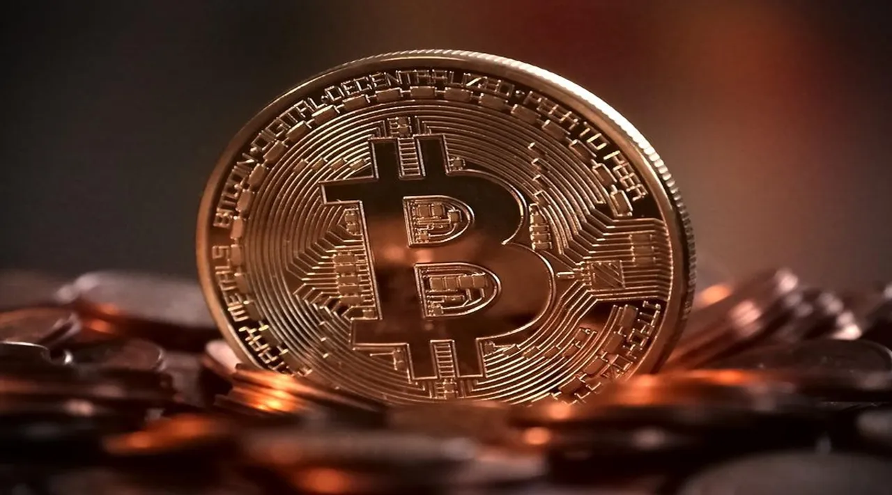 BitCoin Price Fall more than half value from record high vanishes know here other cryptocurrencies status