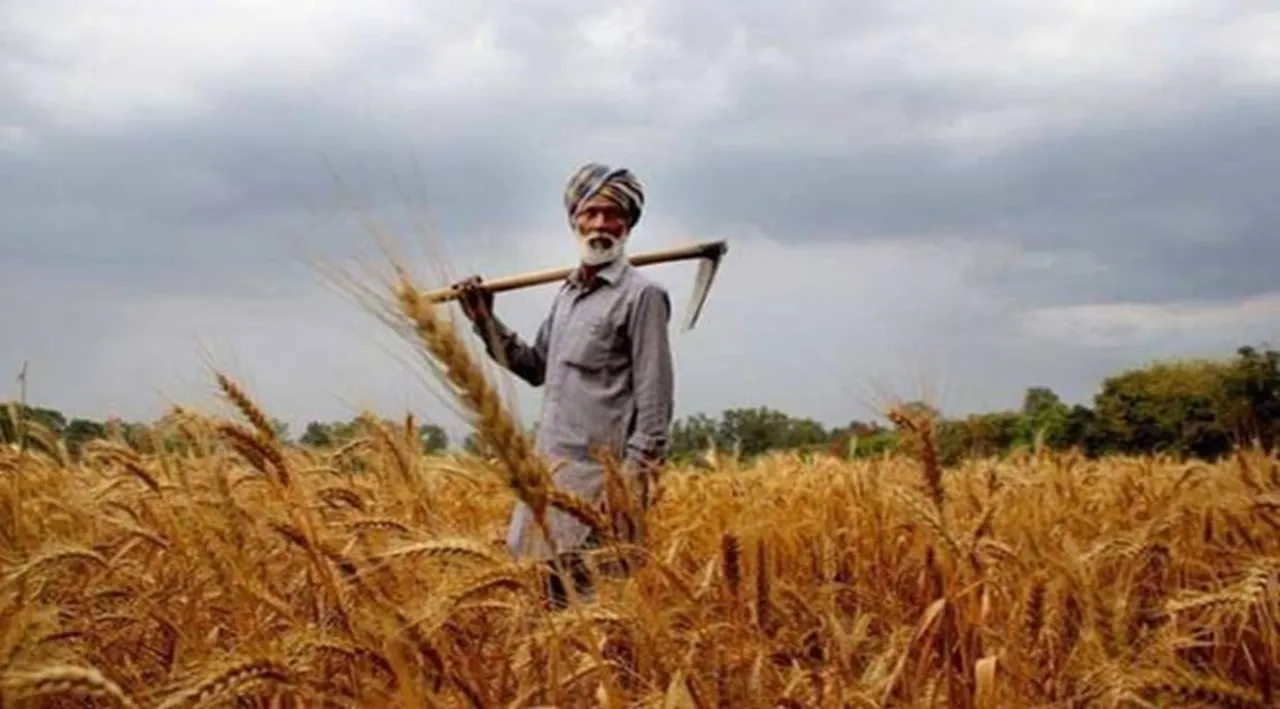 PM Fasal Bima Yojana: फसल बर्बाद होने पर भी मिलेगी सुरक्षा, सरकार किसानों को कितनी देती है रकम