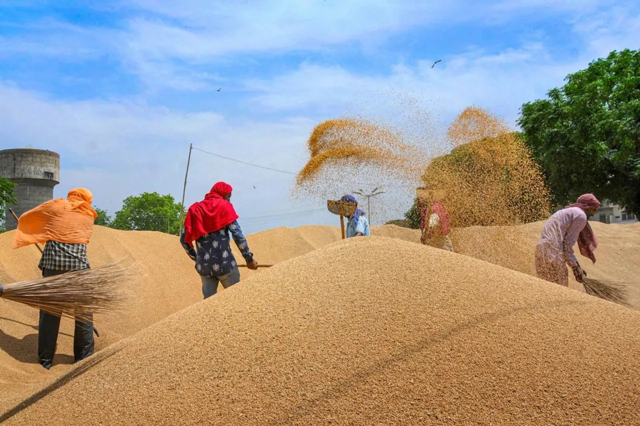 CM yogi adityanath, Uttar Pradesh government, wheat procurement, wheat procurement date in UP, wheat procurement in UP, wheat procurement centers in UP, geotagging, wheat msp,