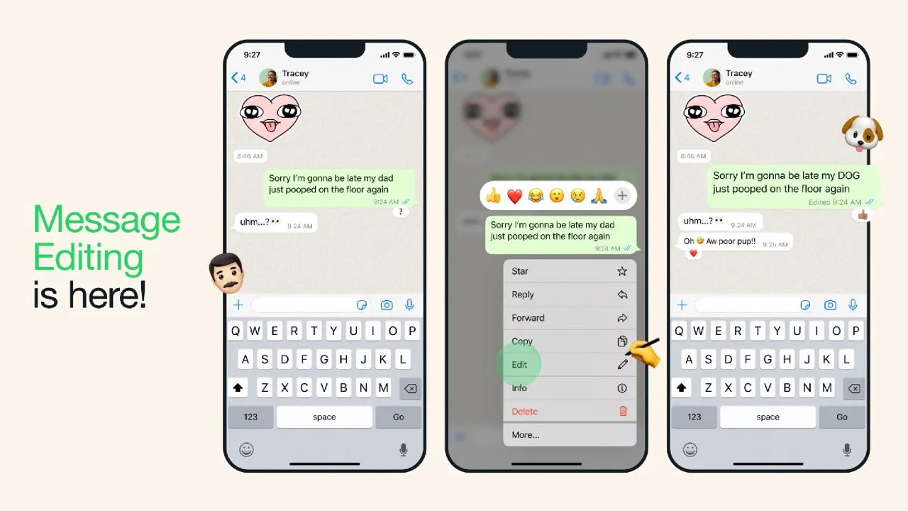 whatsapp-eidt