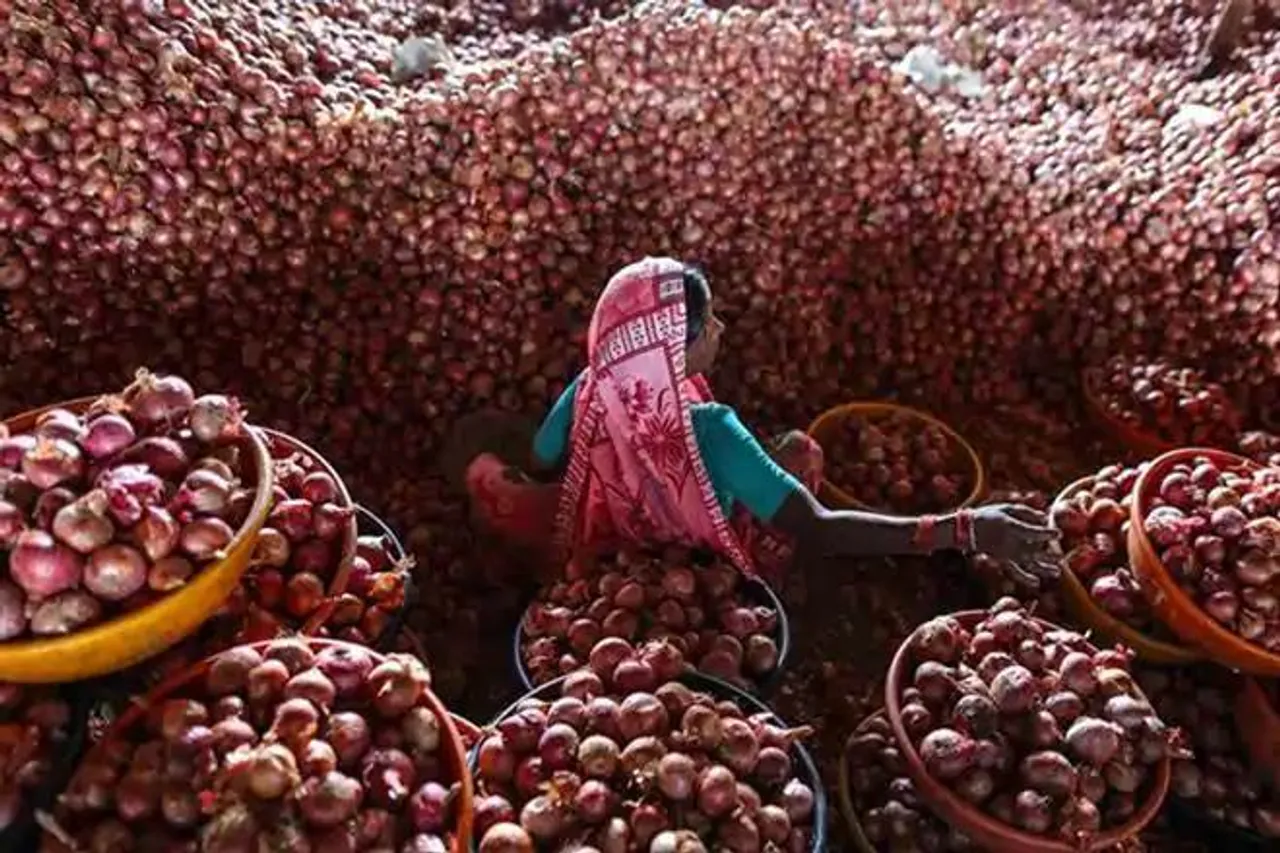 onion price rise, onion price hike, onion imports, ban on onion imports, onion price today