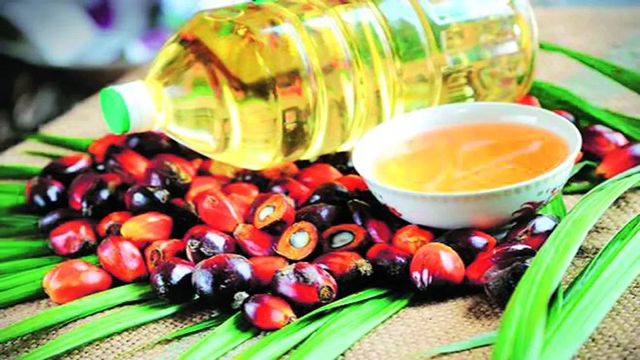 Vegetable oil imports fall 13 per cent