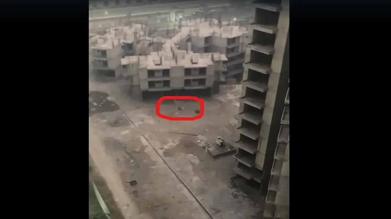Tiger, Tigress, Leopard Seen, Residential Society, Noida Extension, Ajnara Le Garden, शेरनी, शेर, तेंदुआ, नोएडा एक्सटेंशन, ग्रेटर नोएडा वेस्ट, ग्रेटर नोएडा, अजनारा ली गार्डन