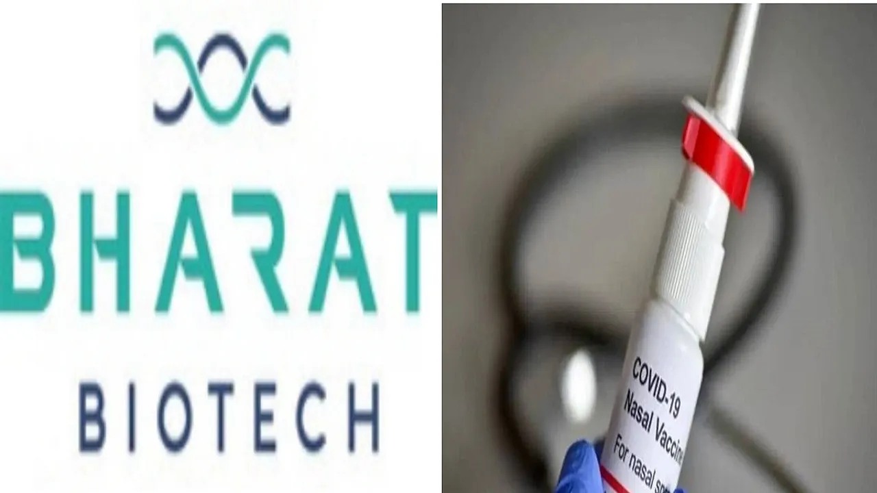 Bharat Biotech, Bharat Biotech Nasal Vaccine, Innovacc, covid, covid 19, health news, covid news, pharma news,