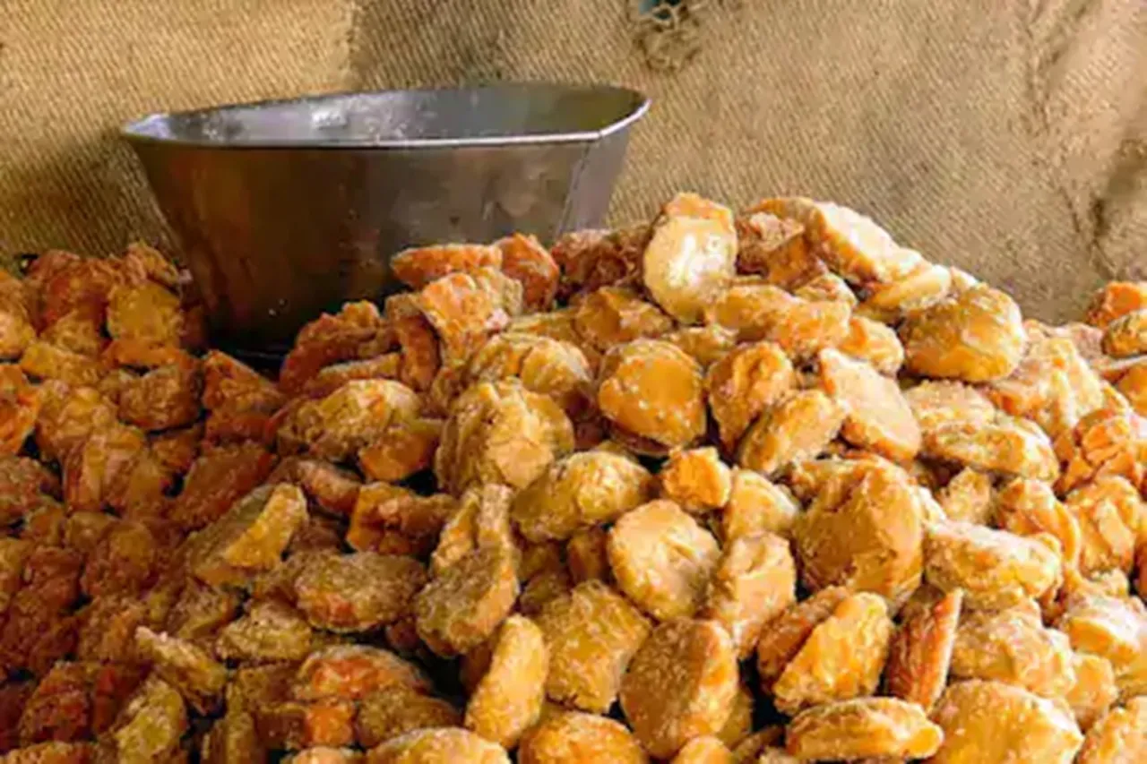 gur trading started on agri commodity exchange ncdex and trading above 1100 level