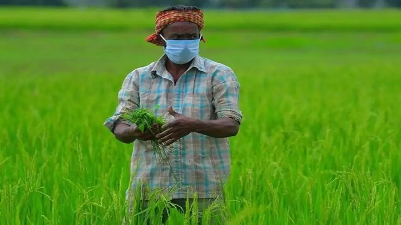 PM Kisan News