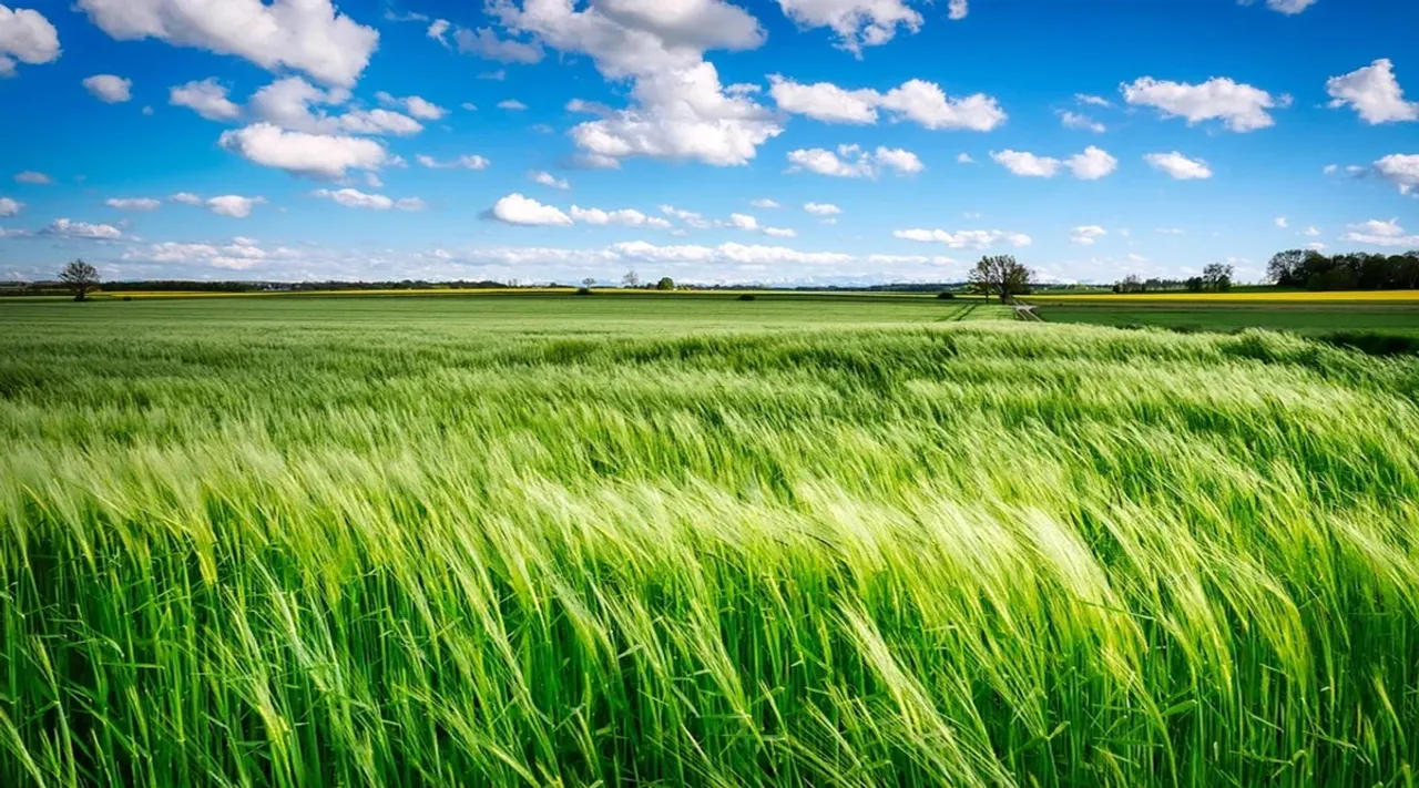 know about agriculture and allied sectors stocks to get massive return while take benefit of agriculture growth