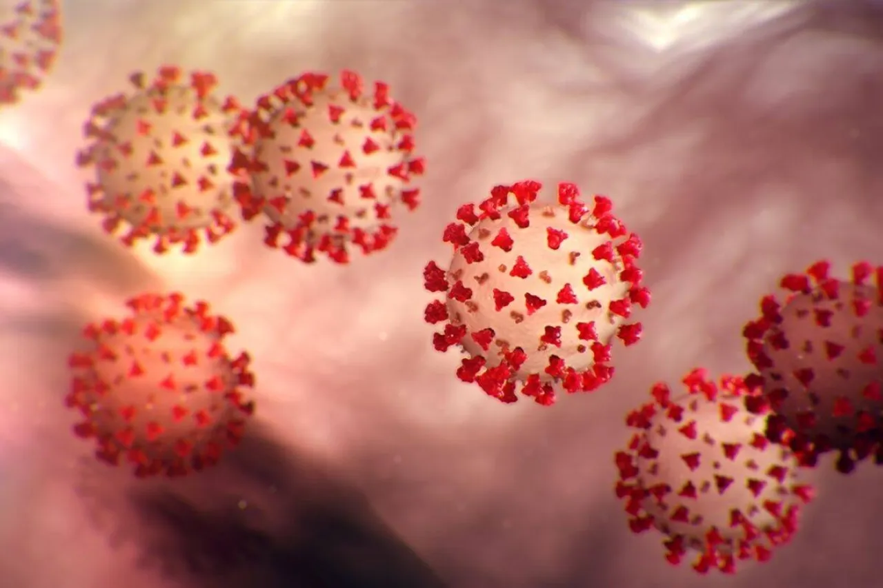 WHO names COVID-19 variants first found in India as Kappa and Delta