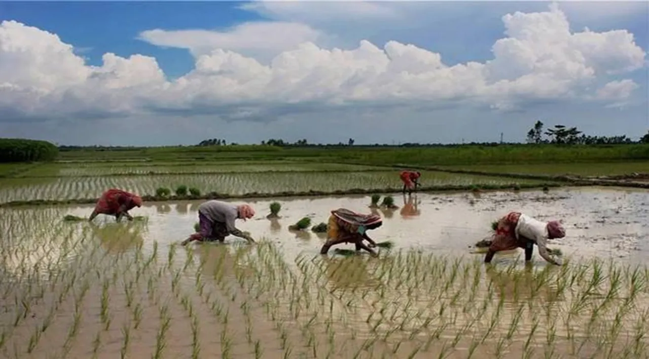 Monsoon in India: बेहतर मॉनसून दिलाएगा महंगाई से राहत! निवेशकों को मिलेंगे कमाई के मौके
