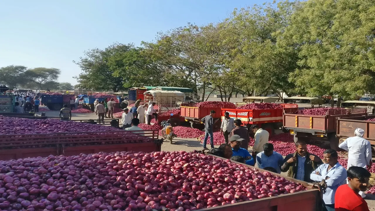 Onion Prices Today