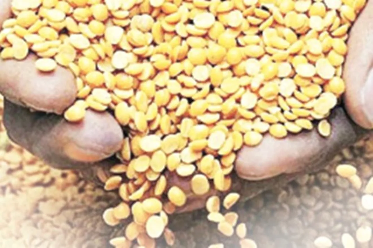 TUR PRICE UP BUT MAY DOWN NEXT YEAR IN JANUARY