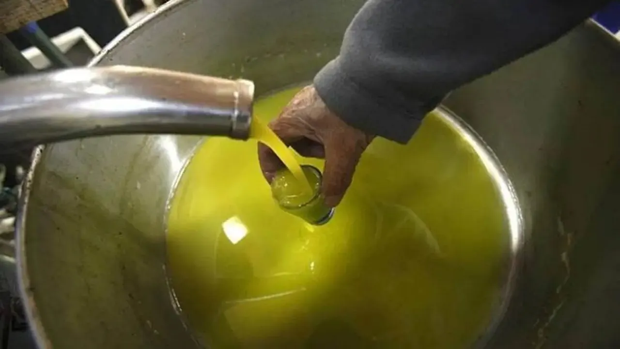 edible-oil-prices