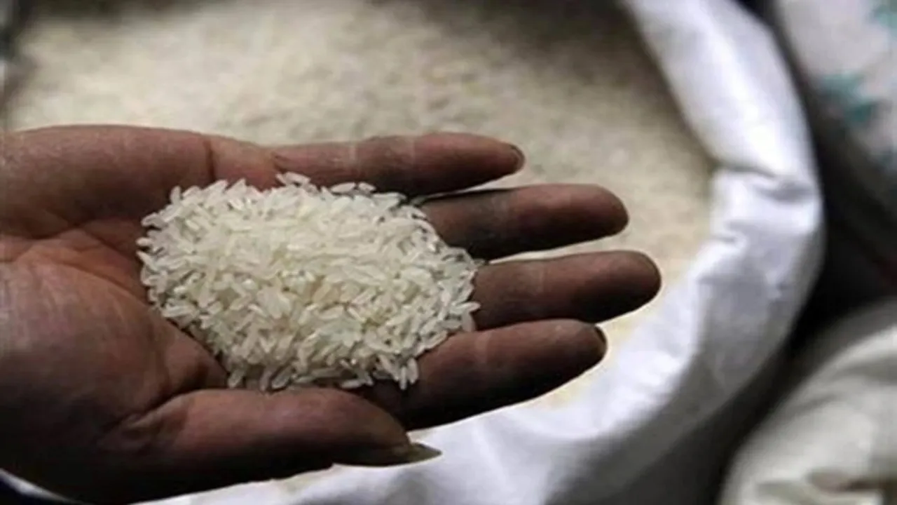 India’s Rice Exports: इस साल चावल निर्यात में 40-50 लाख टन की हो सकती है गिरावट, ये है बड़ी वजह