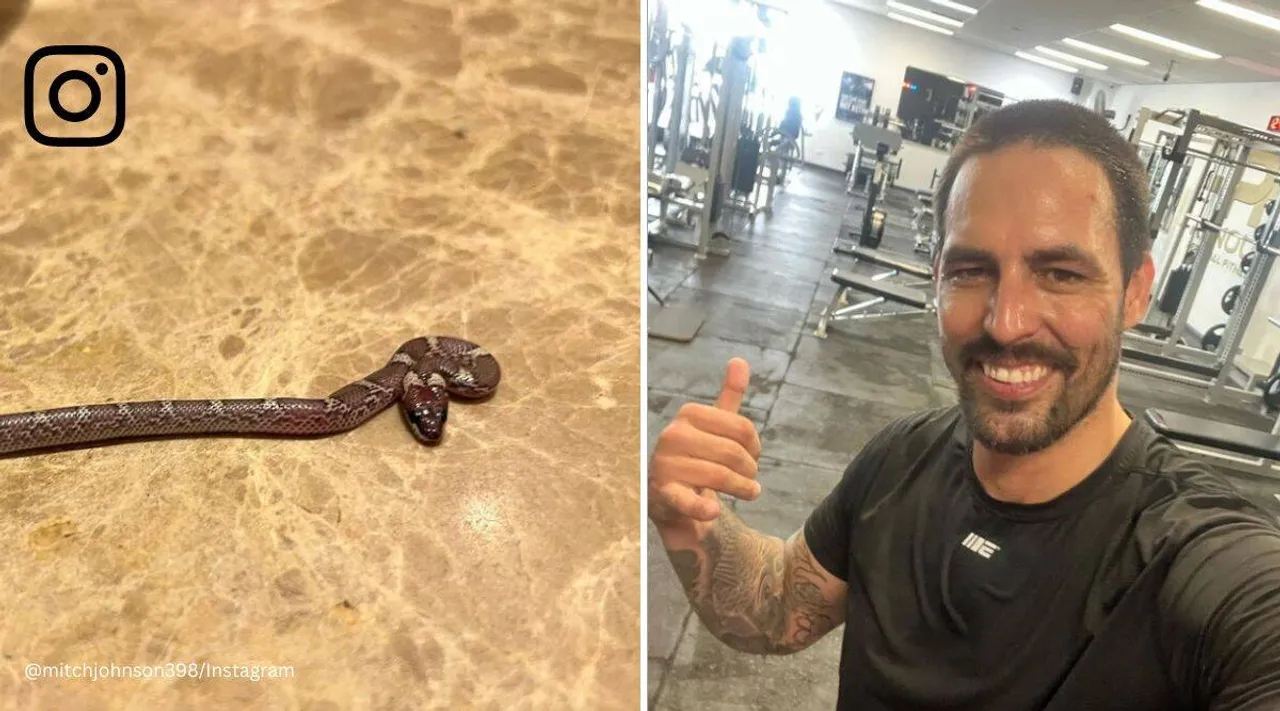 Mitchell Johnson shares pic of snake he found in Lucknow hotel