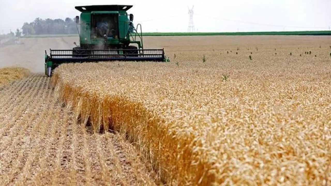 Wheat Crop Yield: हीटवेव से गेहूं की खेती को होगा नुकसान, पैदावार घटी तो कीमतें बढ़ने का डर