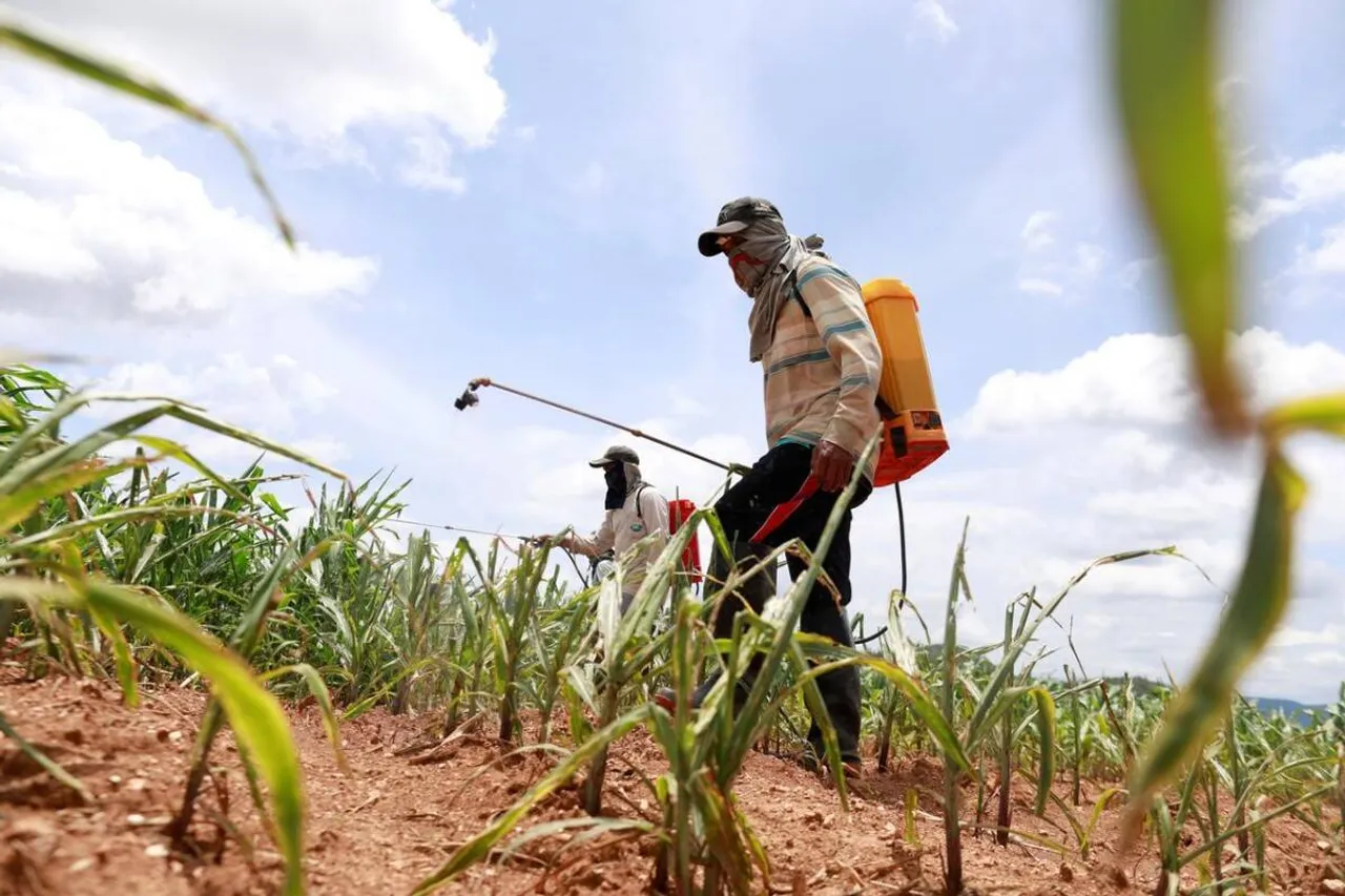 23 जून को आ रहा है India Pesticides का IPO,क्या आपको निवेश करना चाहिए?