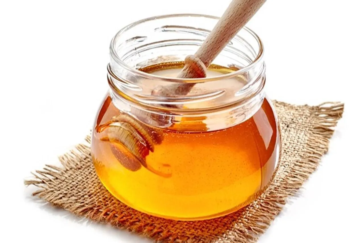 dabur patanjali rejected claims of CSE study on honey adulteration says attempt malign brands