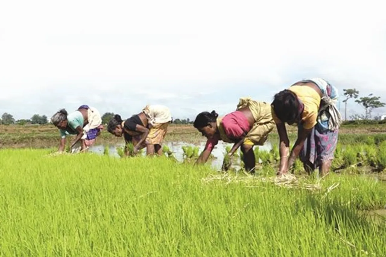 The removal of restrictions under the Essential Commodities Act (ECA) is, by far, the most important measure.
