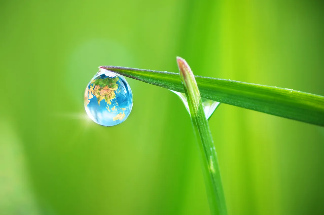 environment
