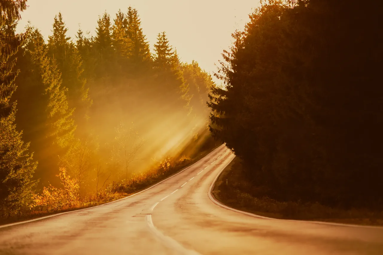 the-fog-sunrise-of-rays-2025-03-10-06-28-56-utc (1)