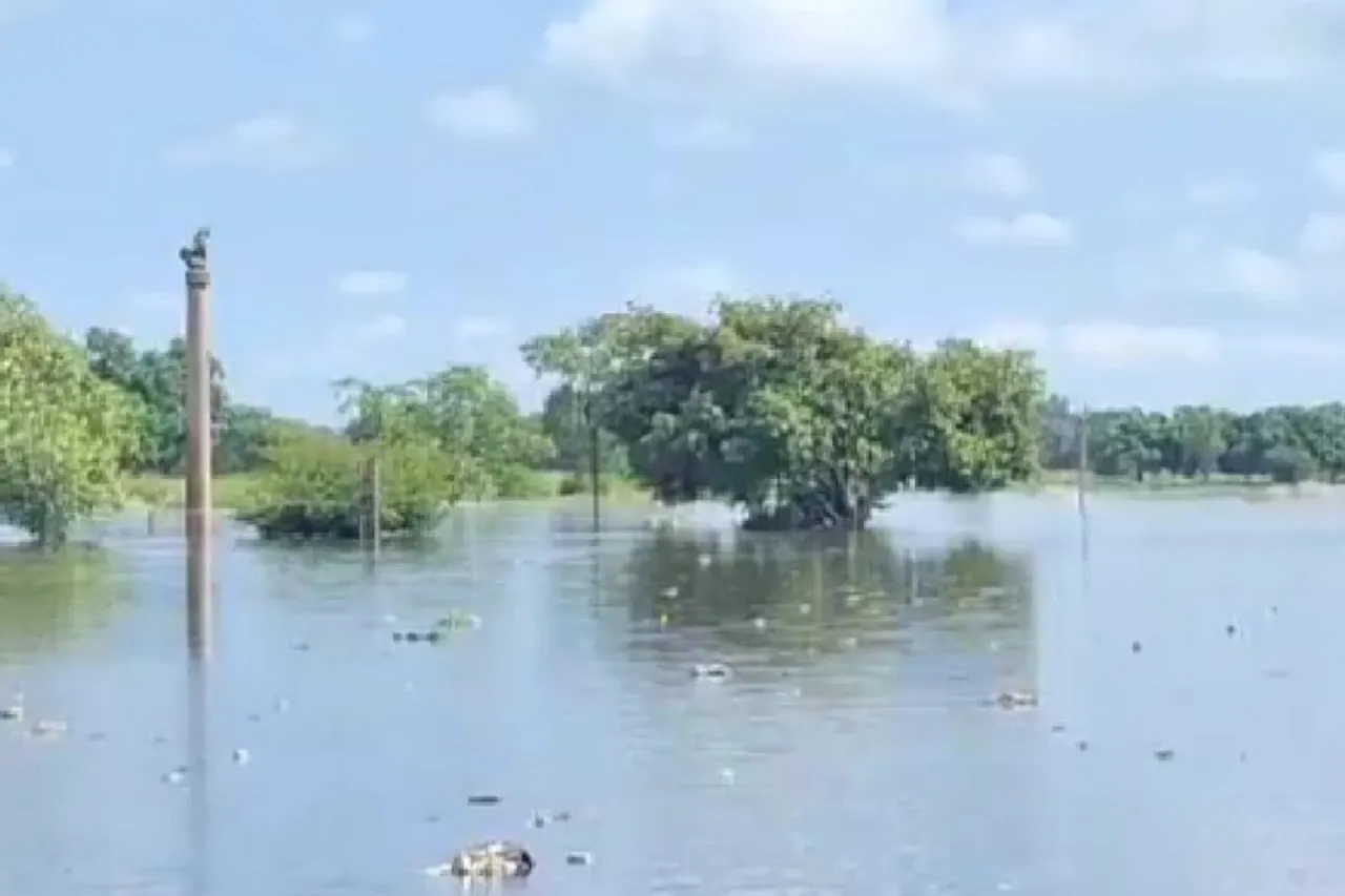 13 districts in Bihar facing floods after heavy rainfall in Nepal1232