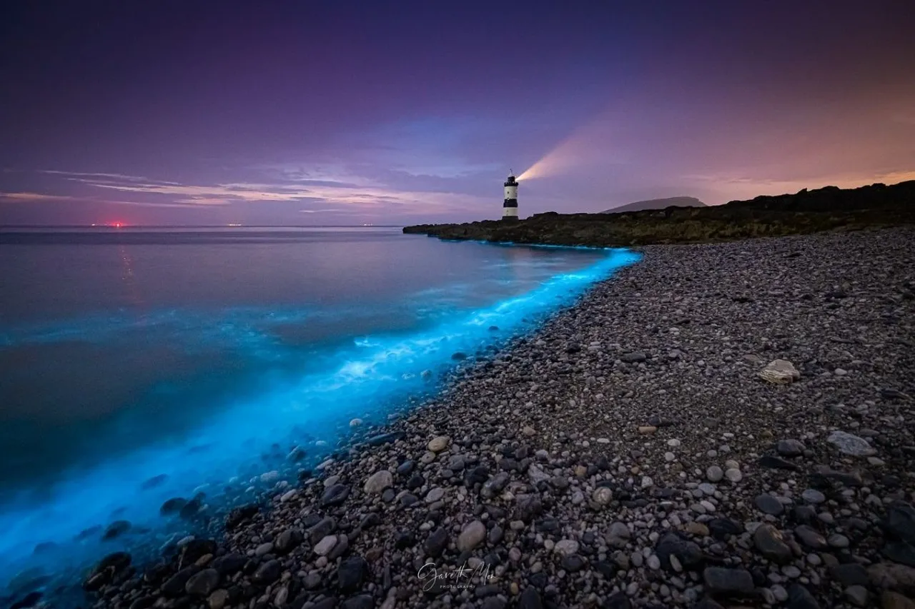 Mattu Beach, Karnataka