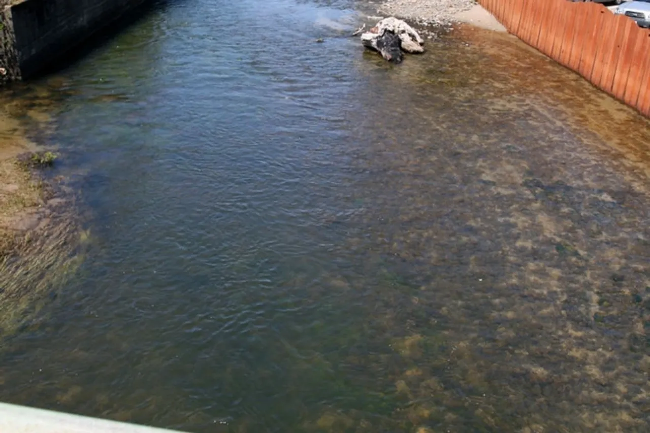 D River in Lincoln City