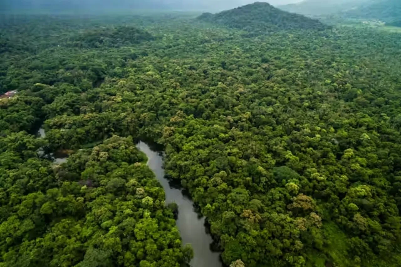 215M hectares of forest larger than Mexico