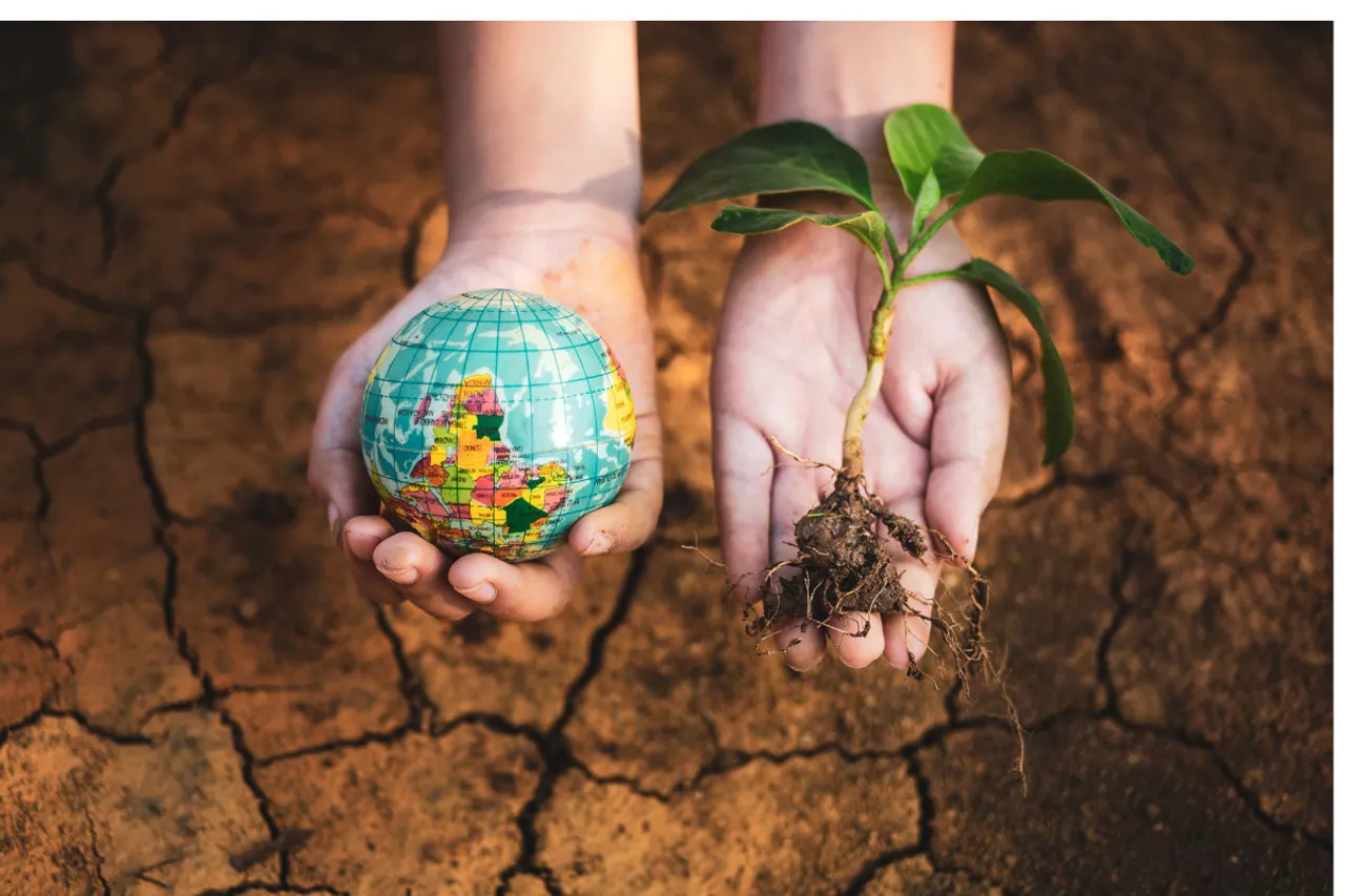 World Soil Day 2024