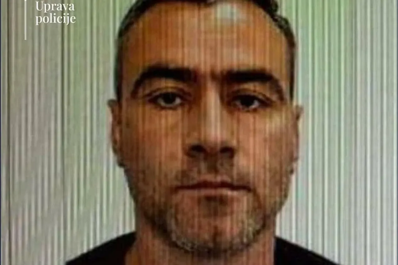 Who is Aleksandar Martinovic, Montenegro Rampage suspect?