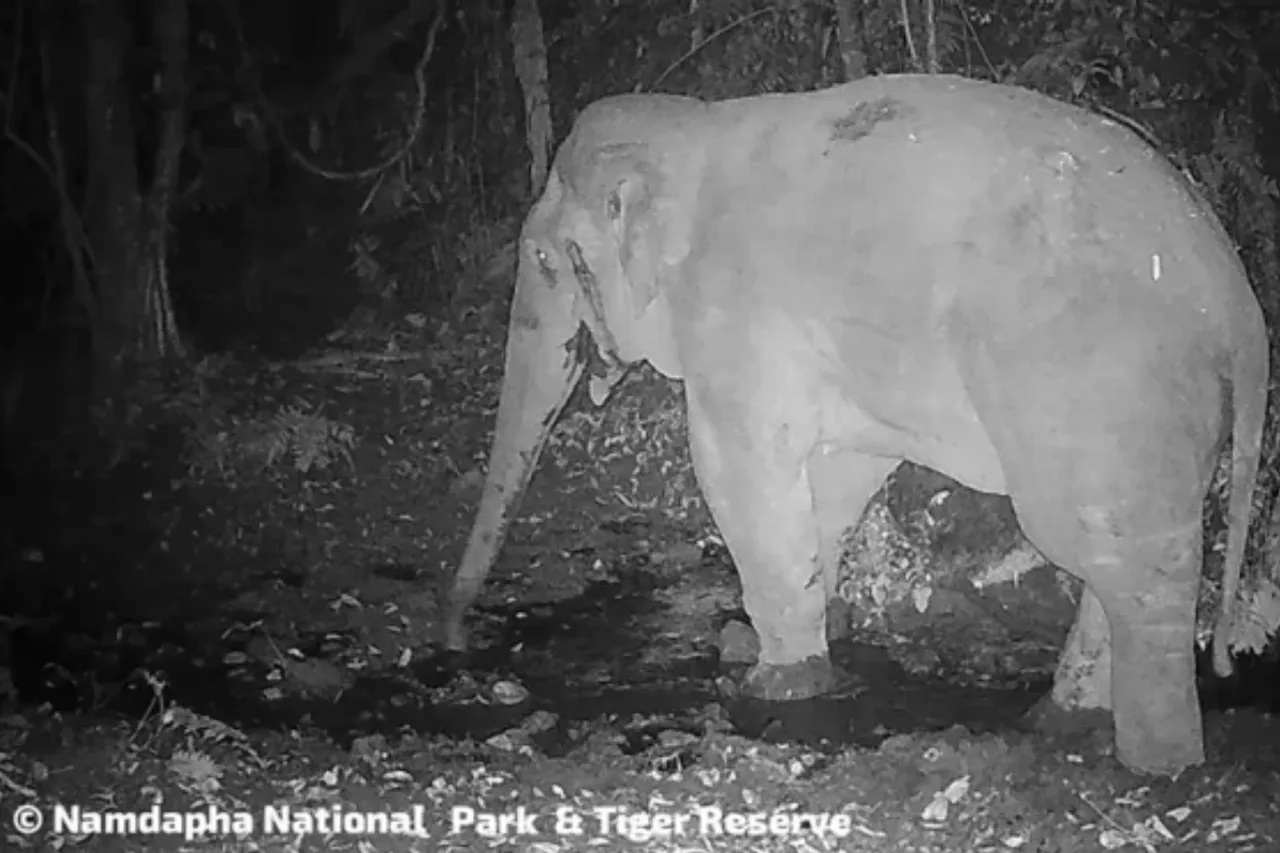 namdafa national park