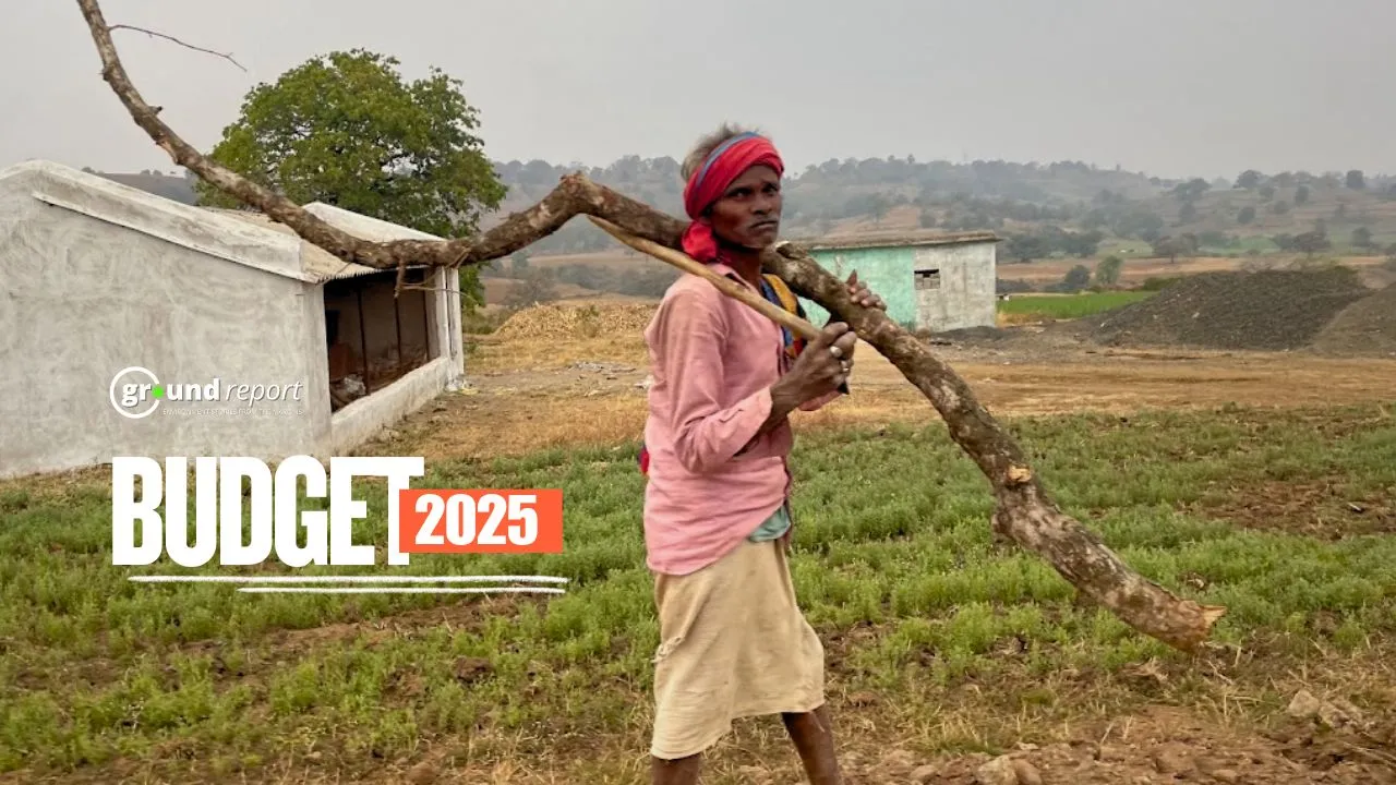 Environment budget 2025