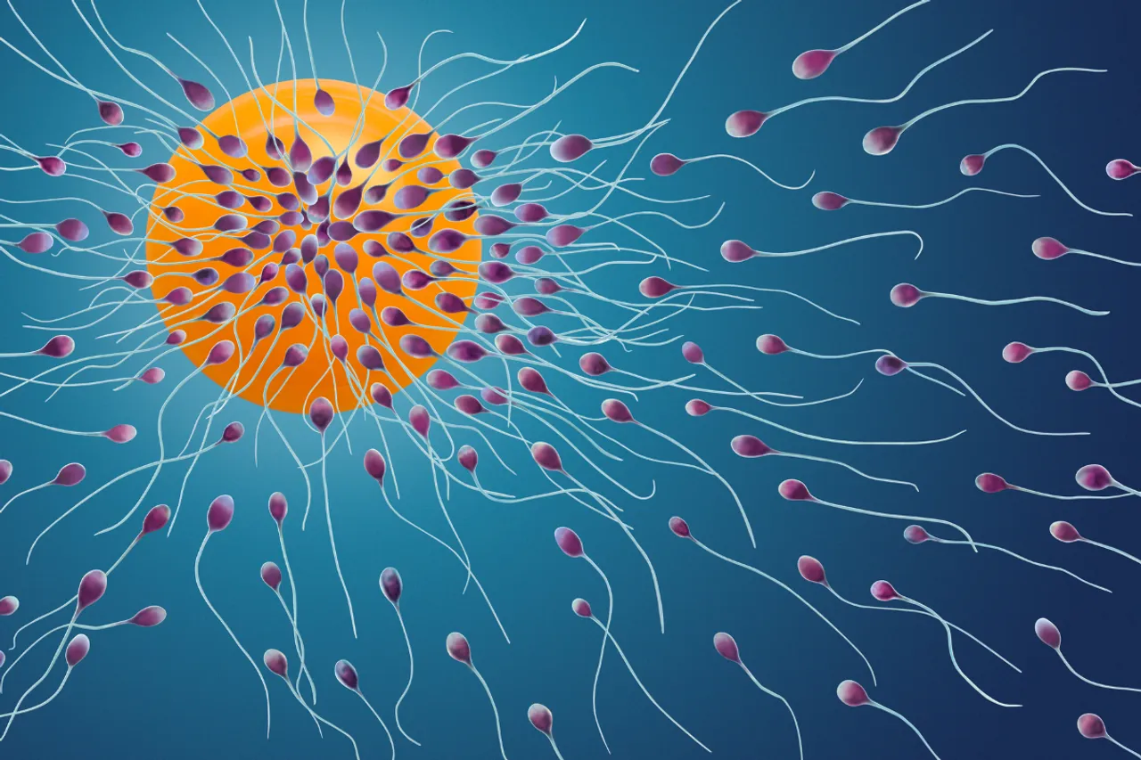What is sperm race and why it is becoming a sports?