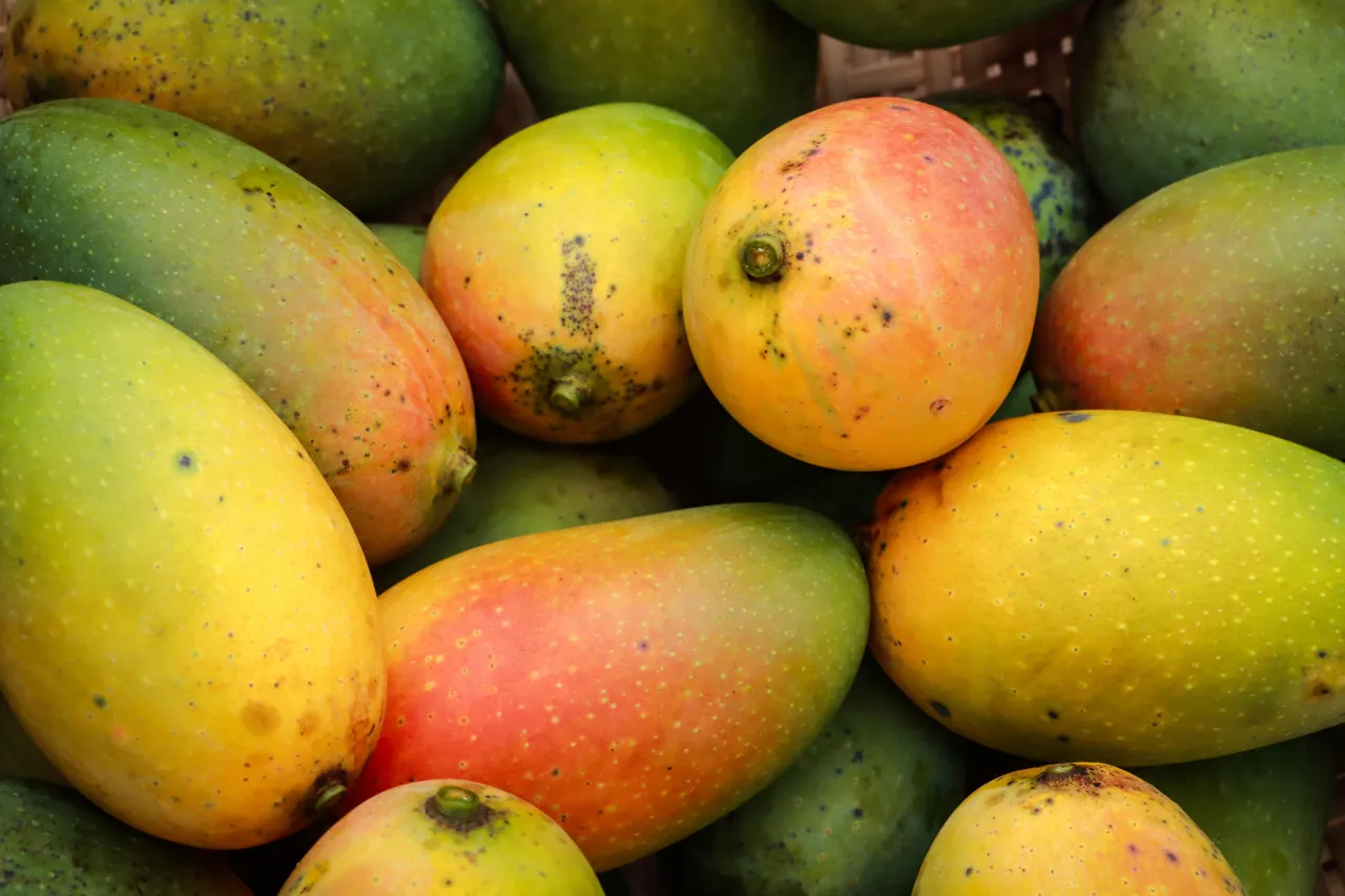 How To Identify Real Vs Fake Mango 12345