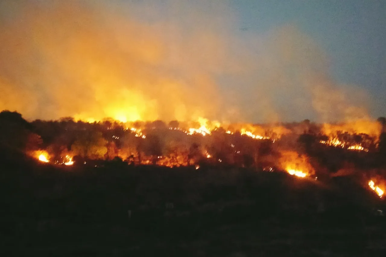 forest fire